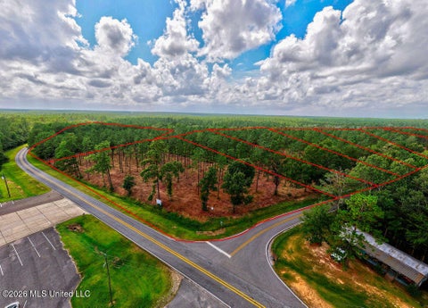 Vacant Land For Sale - NHN LOT 6 Ramsey Road<br/> Saucier, MS 39574