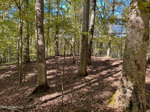 Vacant Land For Sale - TBD Cr 493<br/> Oxford, MS 38655