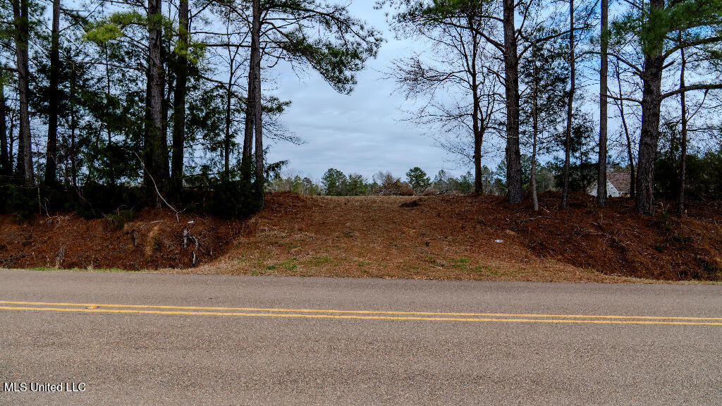5 Lottville Road, Canton, Mississippi image 12