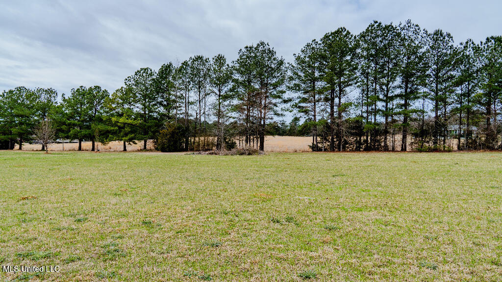 5 Lottville Road, Canton, Mississippi image 16