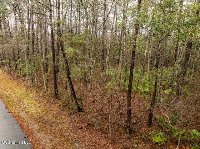 Lot 3099 Lynne Street, Ocean Springs, Mississippi image 8
