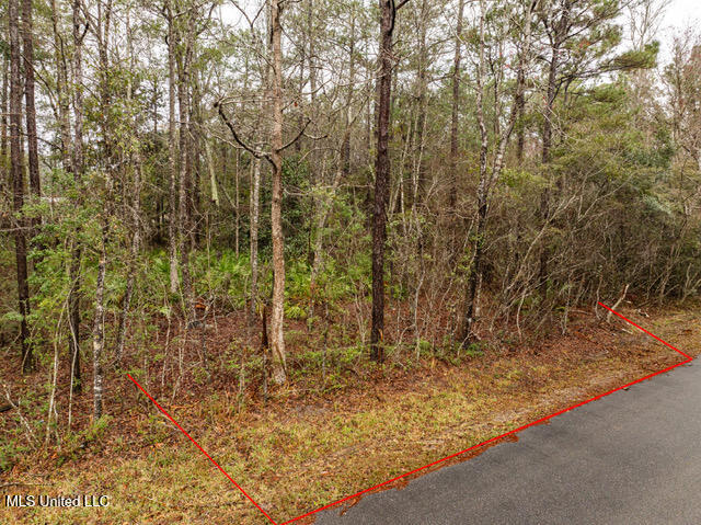 Lot 3099 Lynne Street, Ocean Springs, Mississippi image 12