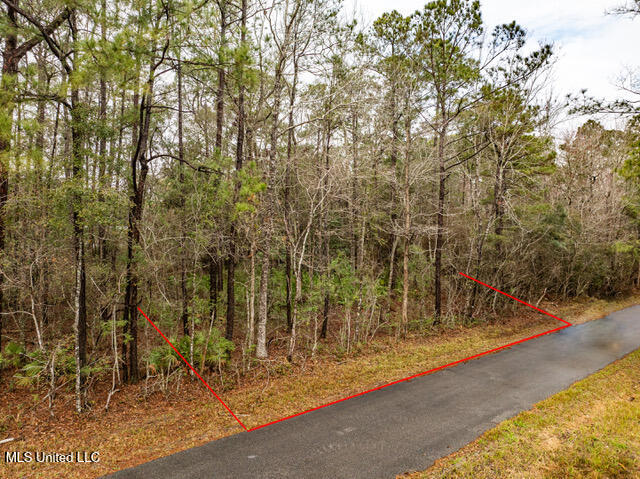 Lot 3099 Lynne Street, Ocean Springs, Mississippi image 9