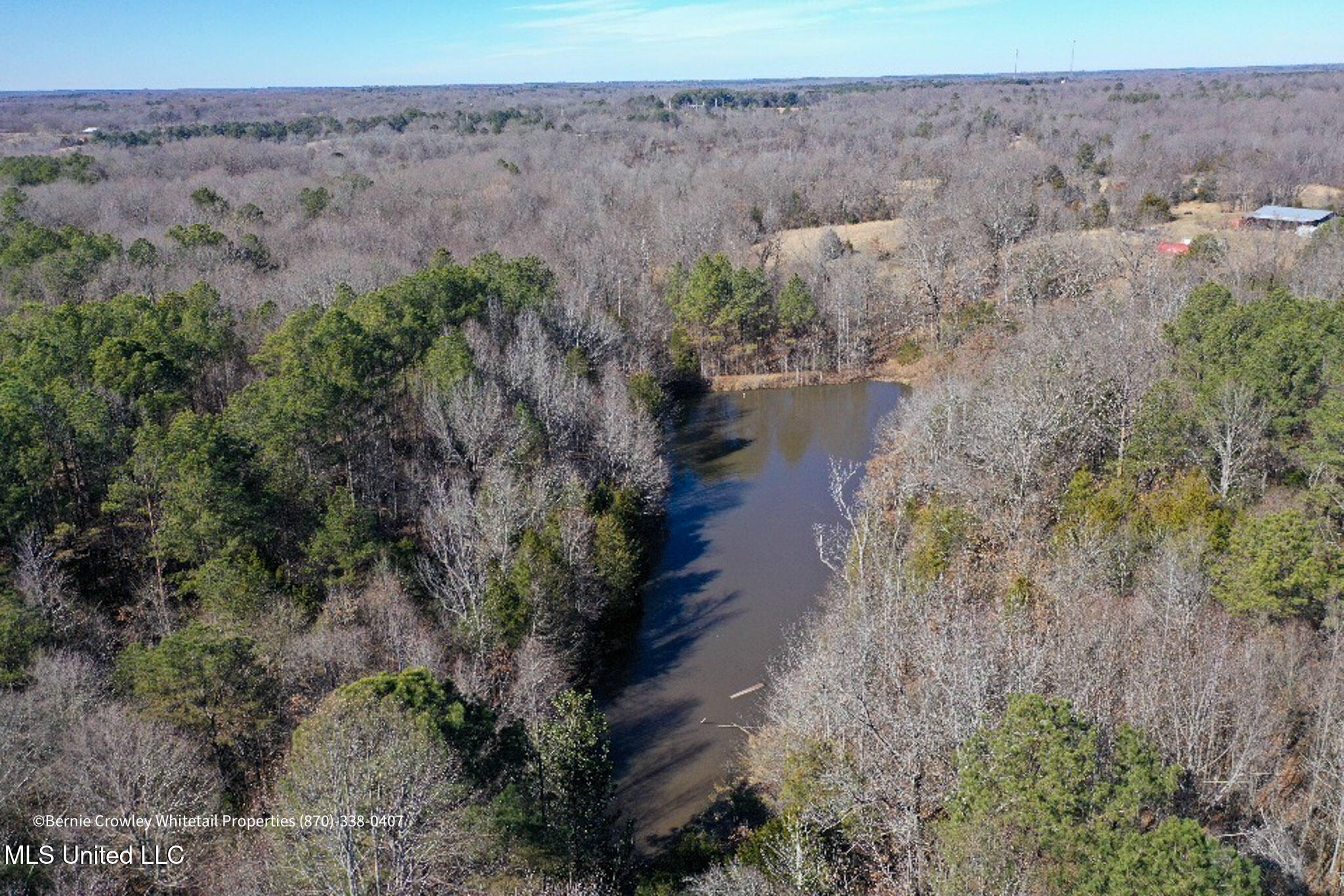 Enid Dam Rd. Road, Pope, Mississippi image 20