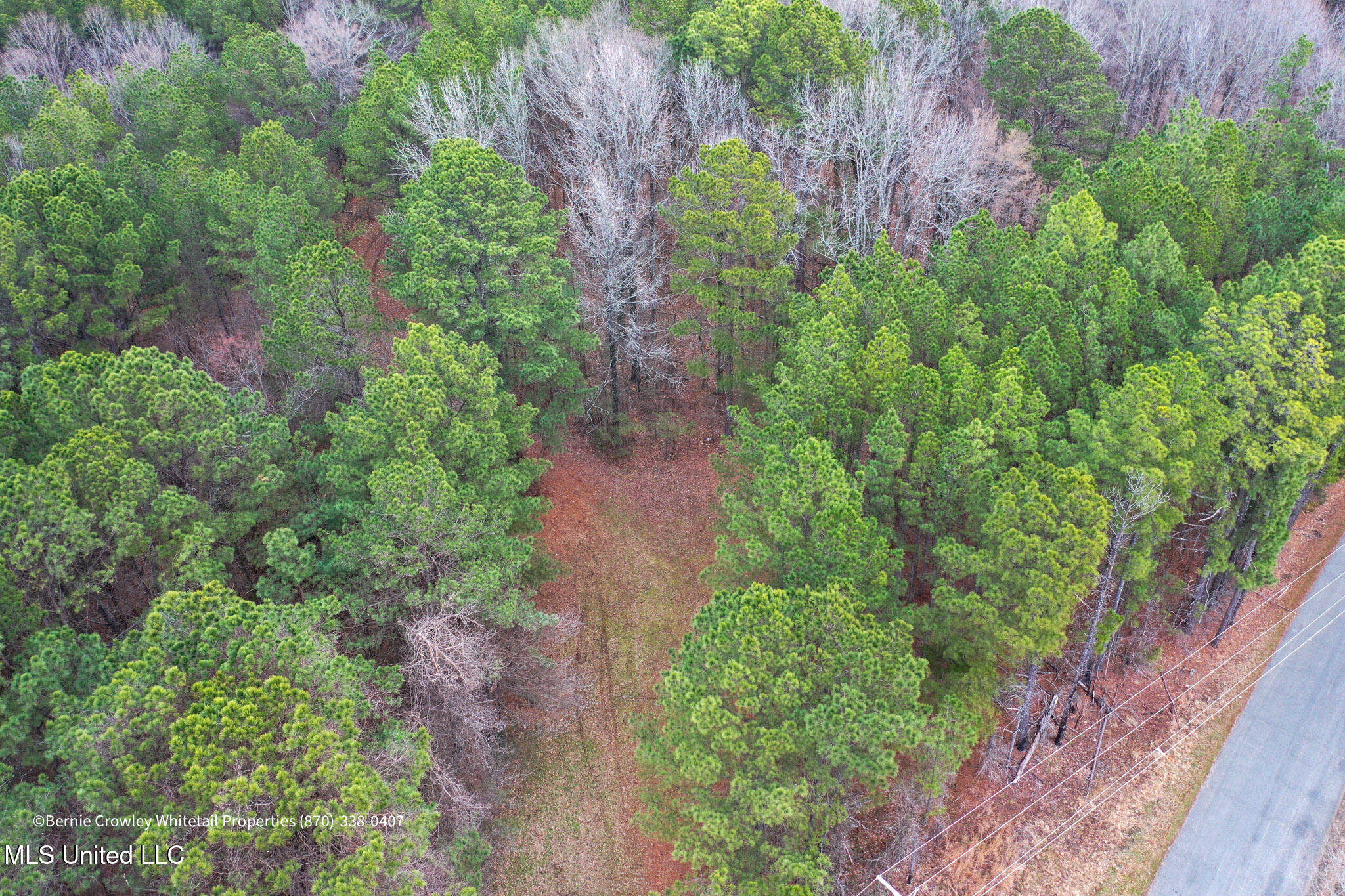 Enid Dam Rd. Road, Pope, Mississippi image 37