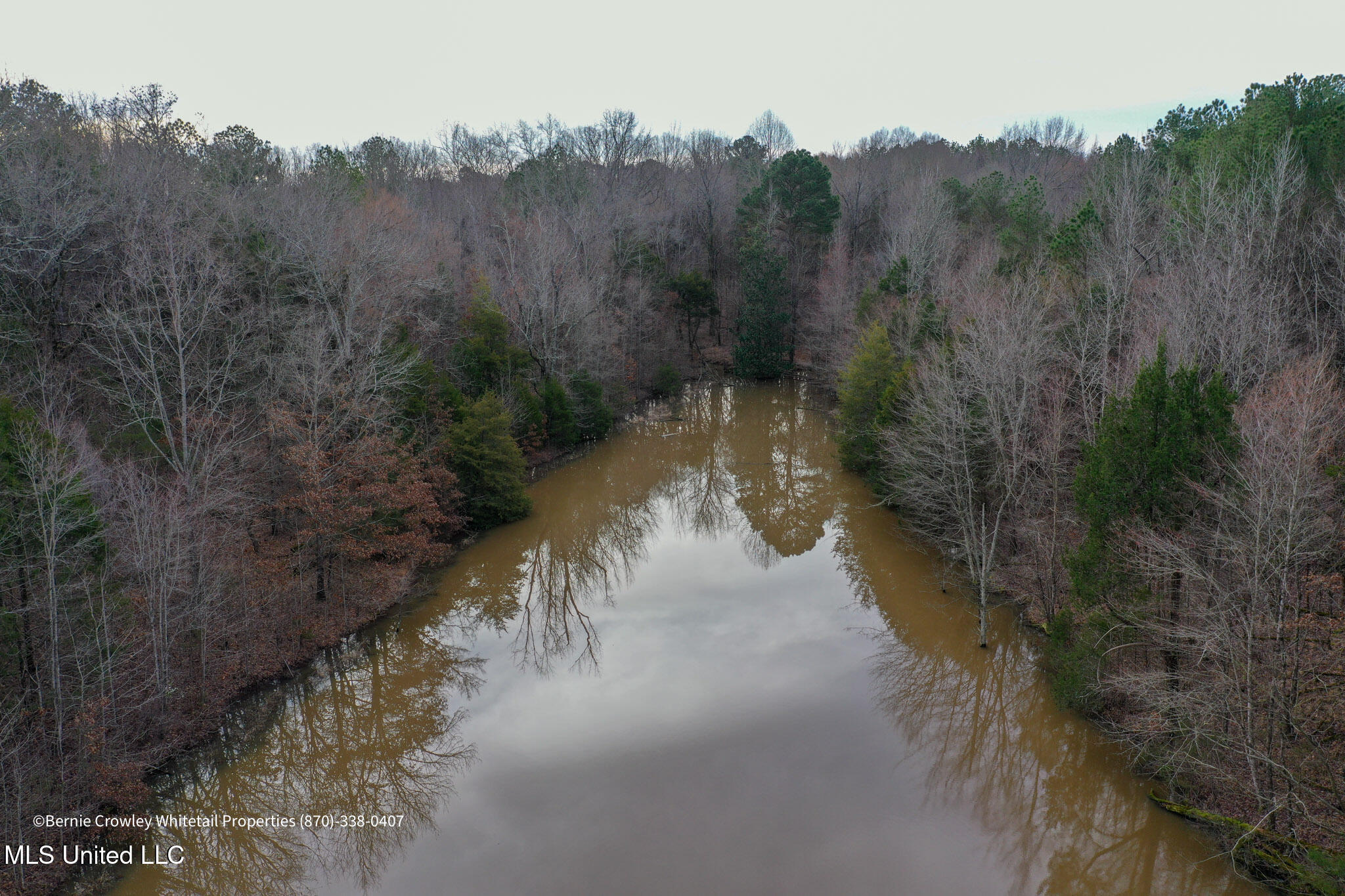 Enid Dam Rd. Road, Pope, Mississippi image 21