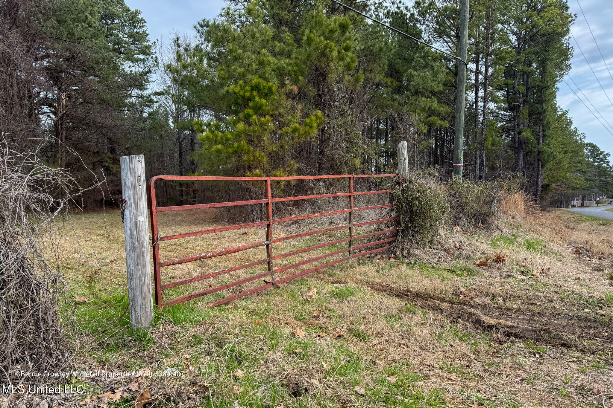 Enid Dam Rd. Road, Pope, Mississippi image 8