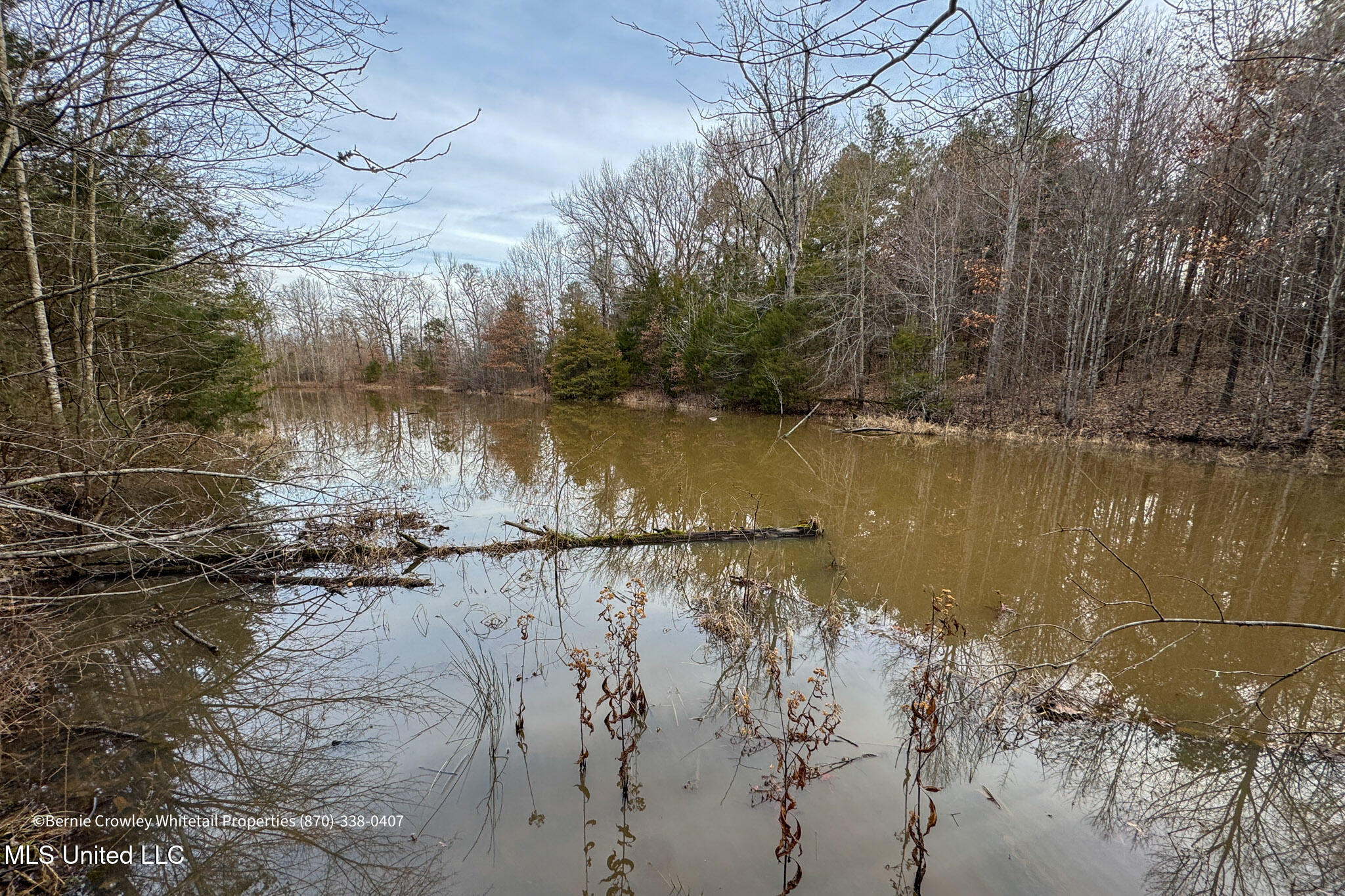 Enid Dam Rd. Road, Pope, Mississippi image 2