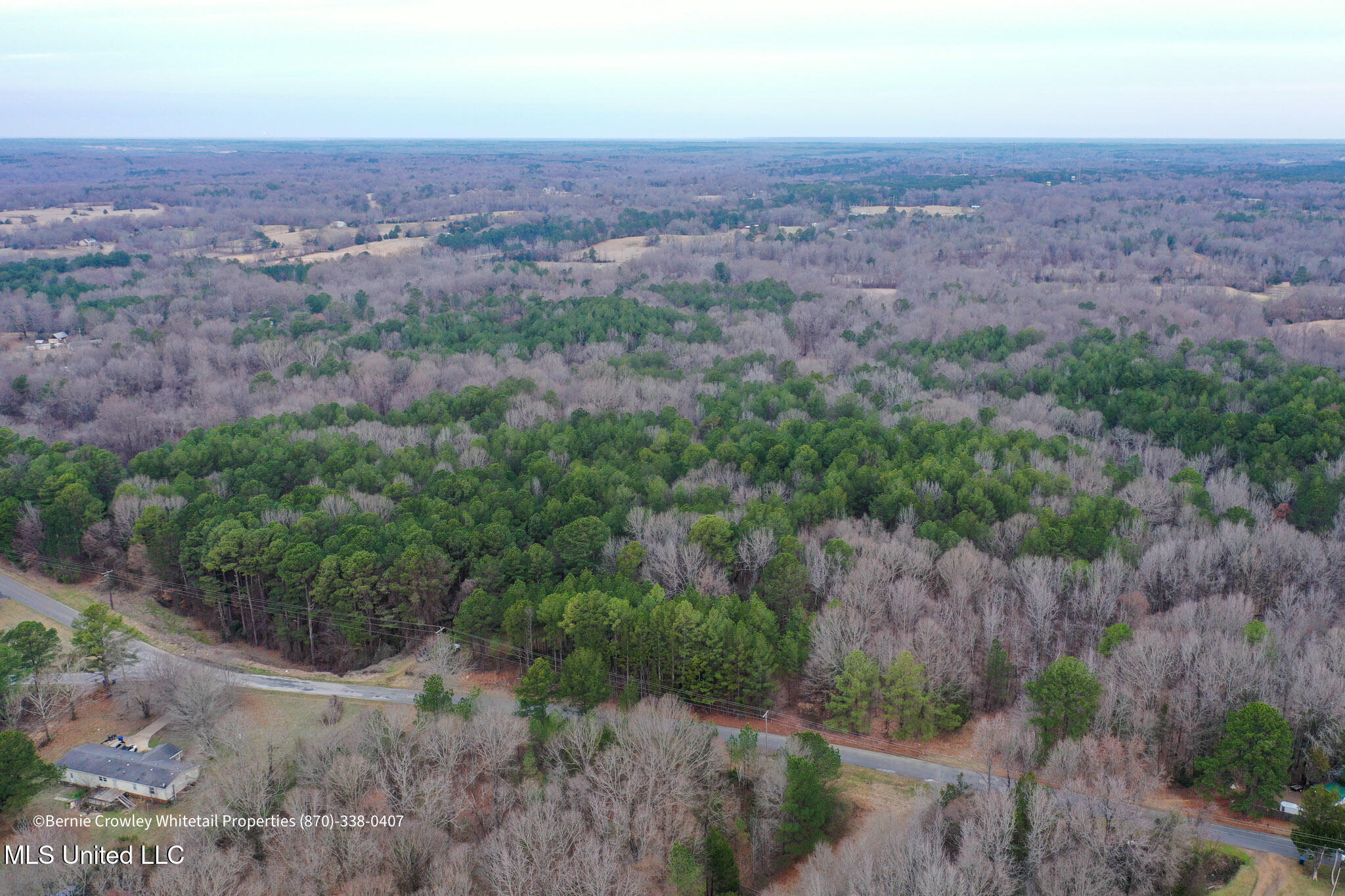 Enid Dam Rd. Road, Pope, Mississippi image 36