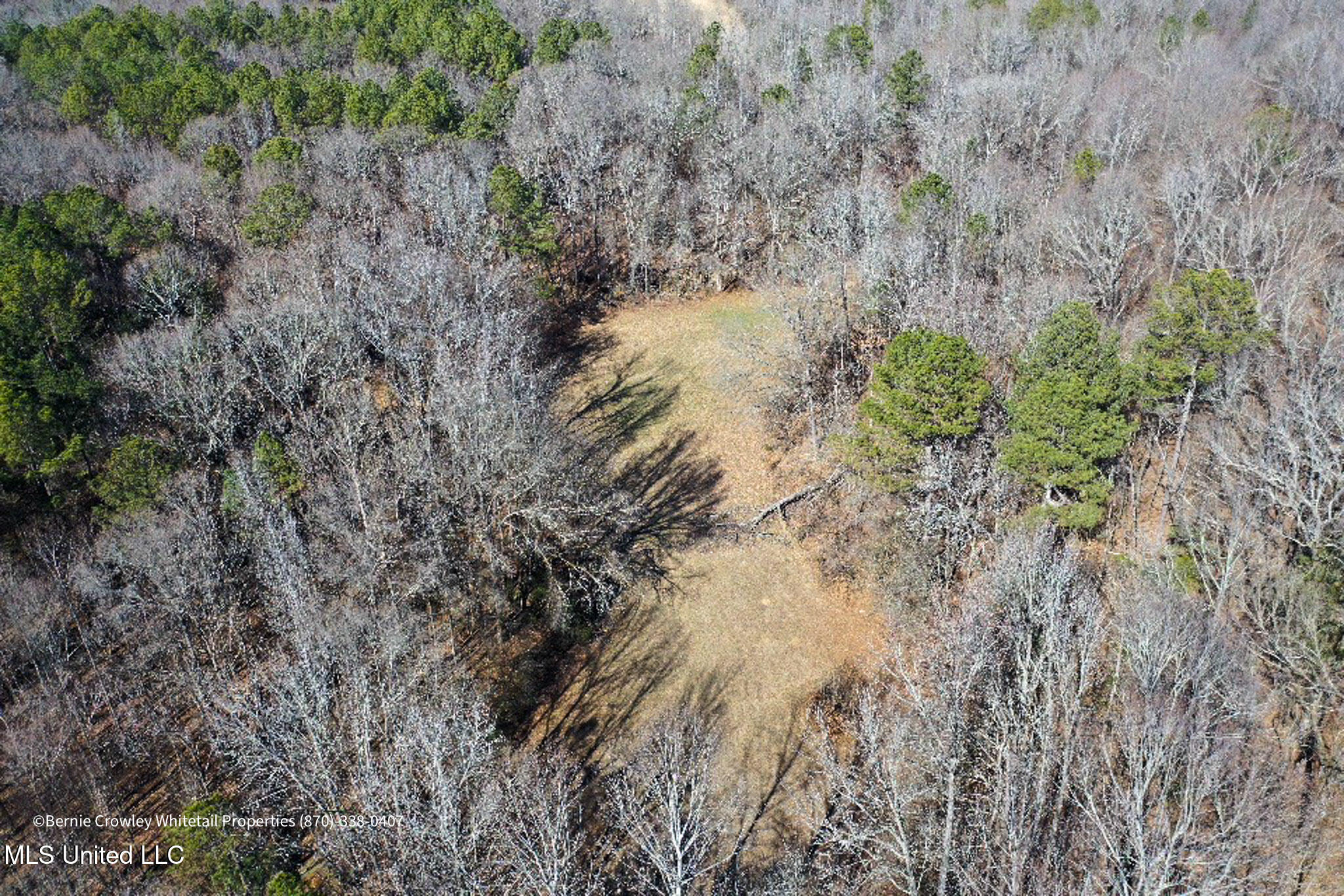 Enid Dam Rd. Road, Pope, Mississippi image 10