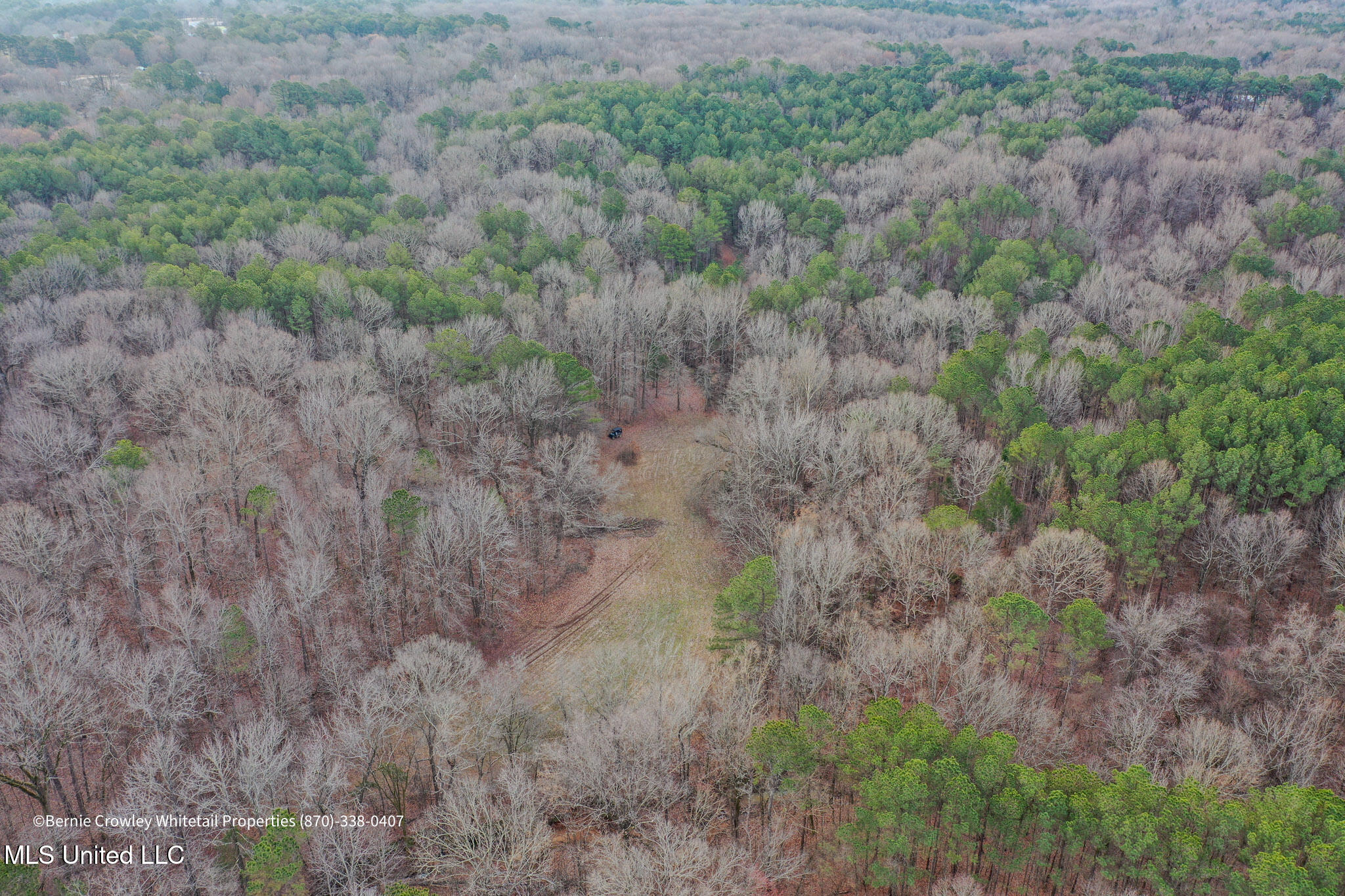 Enid Dam Rd. Road, Pope, Mississippi image 40