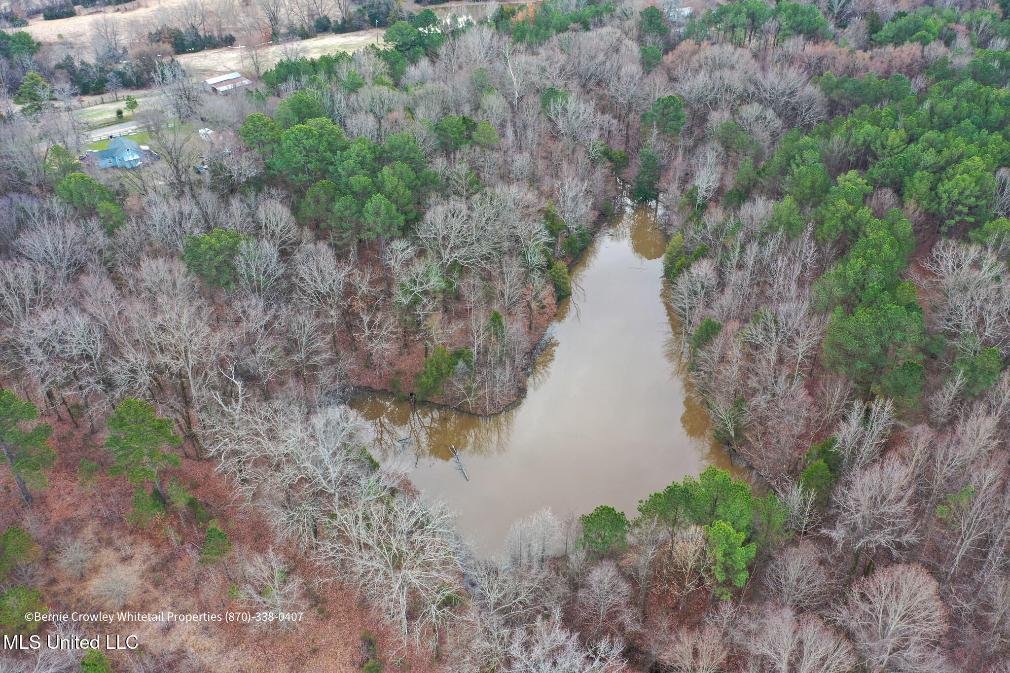 Enid Dam Rd. Road, Pope, Mississippi image 3