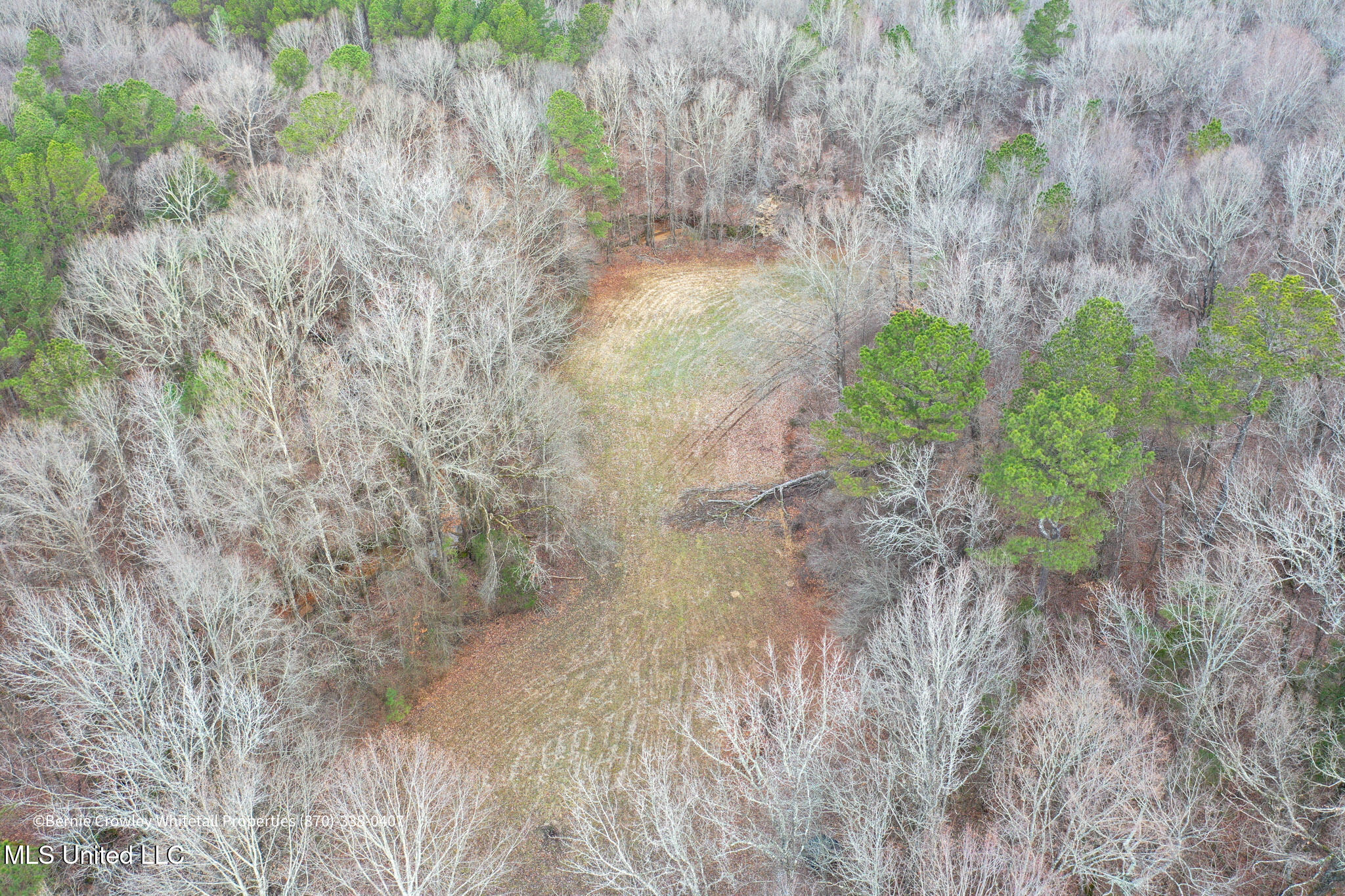 Enid Dam Rd. Road, Pope, Mississippi image 38