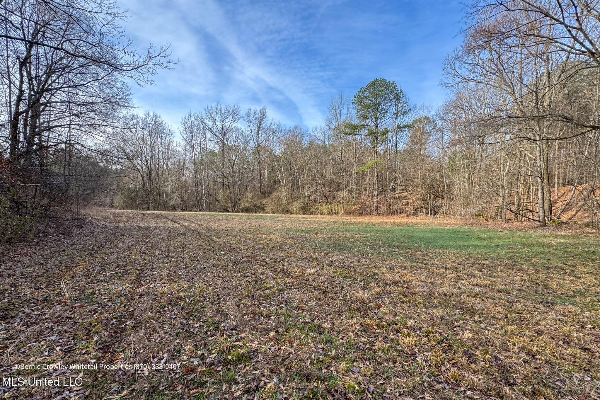 Enid Dam Rd. Road, Pope, Mississippi image 28