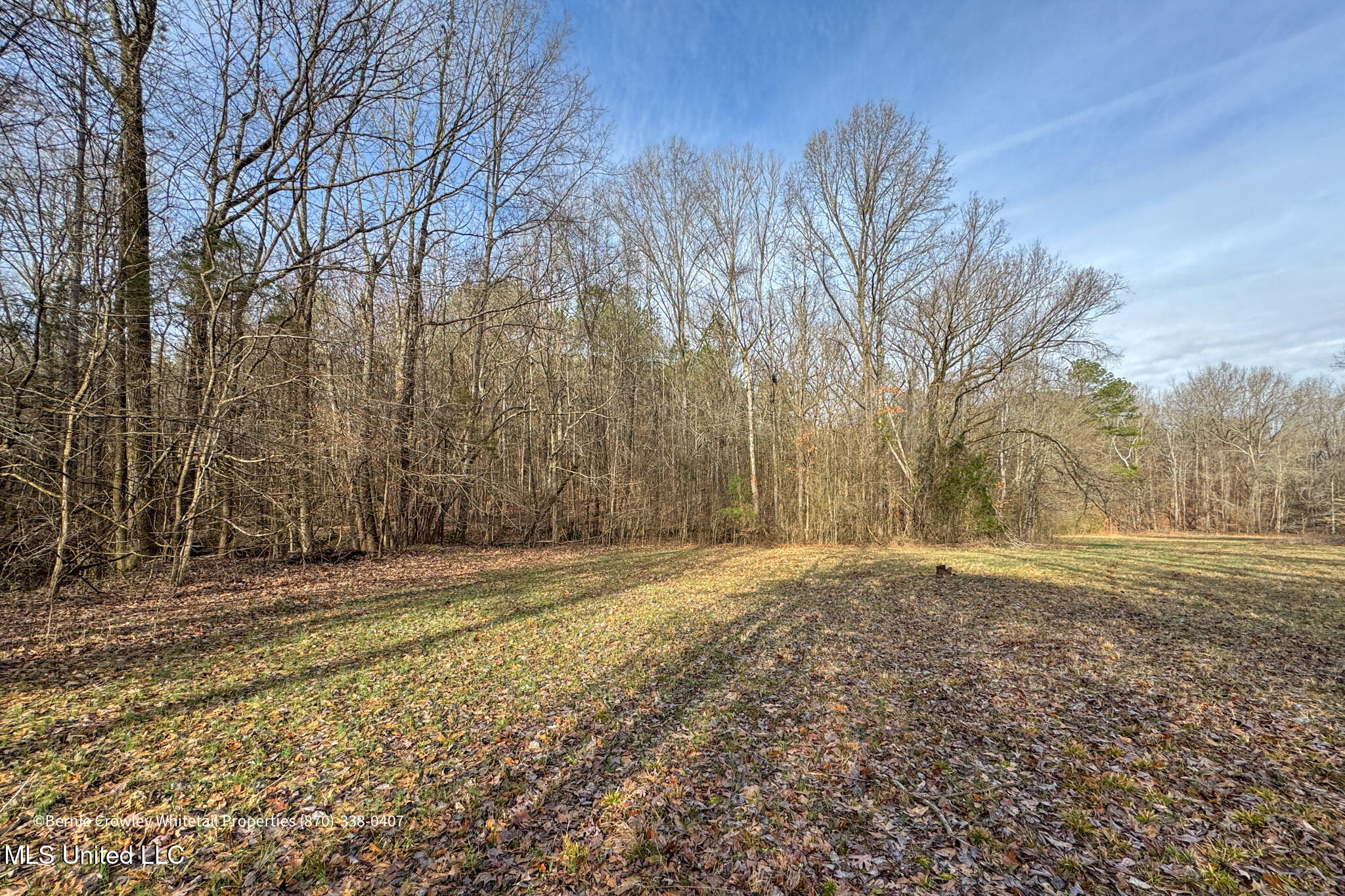 Enid Dam Rd. Road, Pope, Mississippi image 30