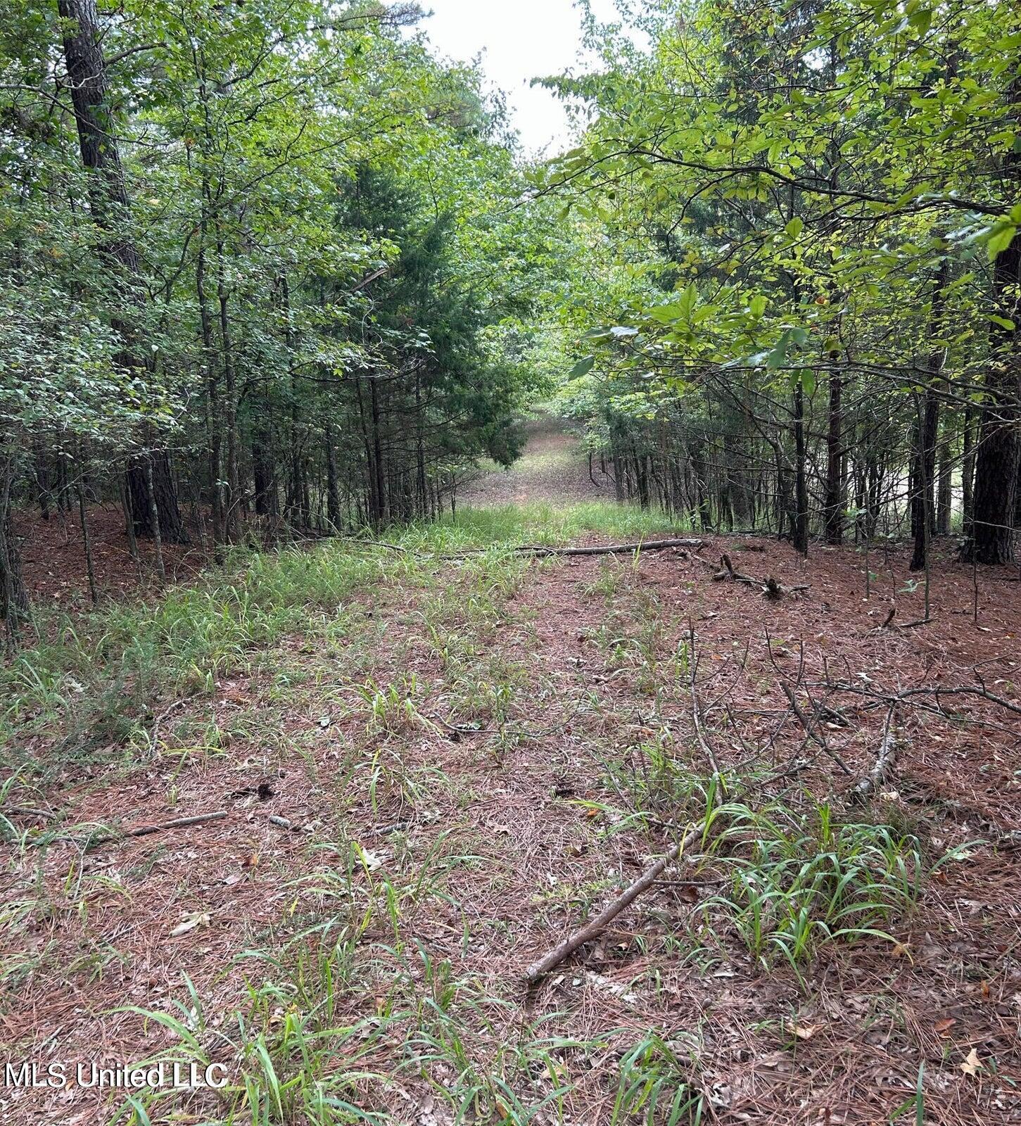 Slocum Road, Hernando, Mississippi image 1