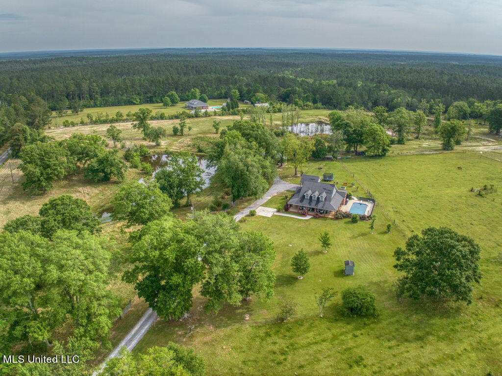 10020 Wire Road, Vancleave, Mississippi image 3