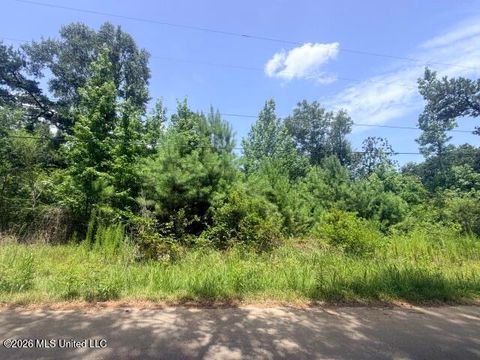 Vacant Land For Sale - Johns Bayou Marina Rd Road<br/> Jackson County, Vancleave, MS 39565