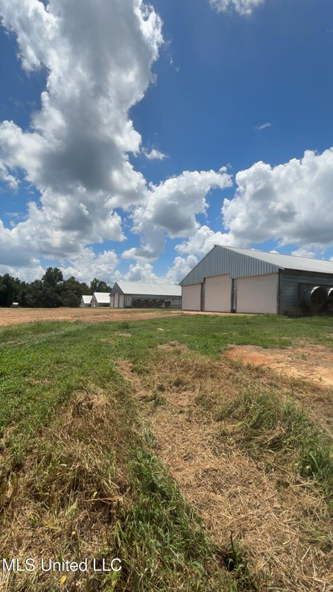 Vacant Land For Sale - 300 Center Crossing Road<br/> Kosciusko, MS 39090
