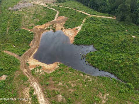 Vacant Land For Sale - 2181 Smith Co Road 559<br/> Pulaski, MS 39152
