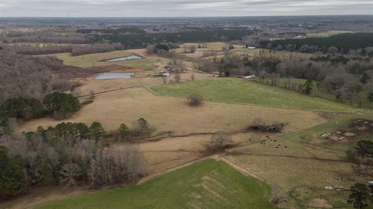 00 Kiley Bailey Road #PARCEL 11, Mendenhall, Mississippi image 20