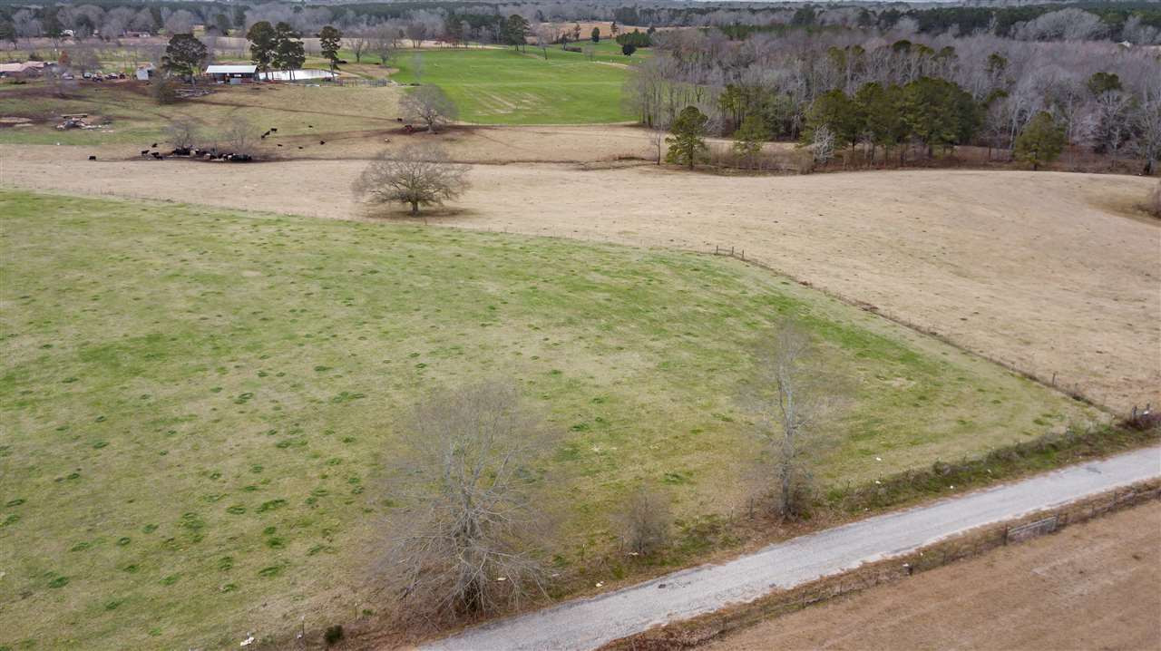 00 Kiley Bailey Road #PARCEL 11, Mendenhall, Mississippi image 11