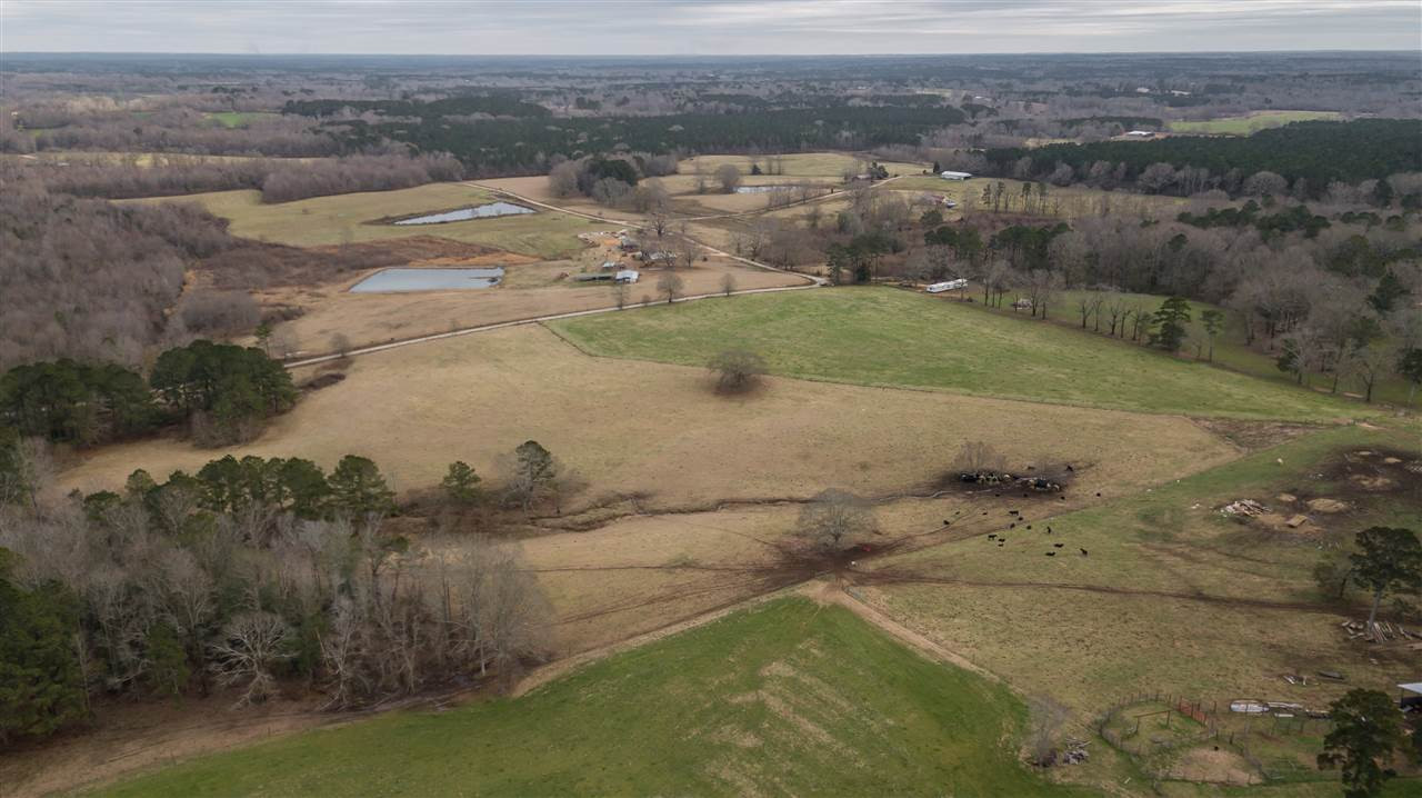 00 Kiley Bailey Road #PARCEL 11, Mendenhall, Mississippi image 21