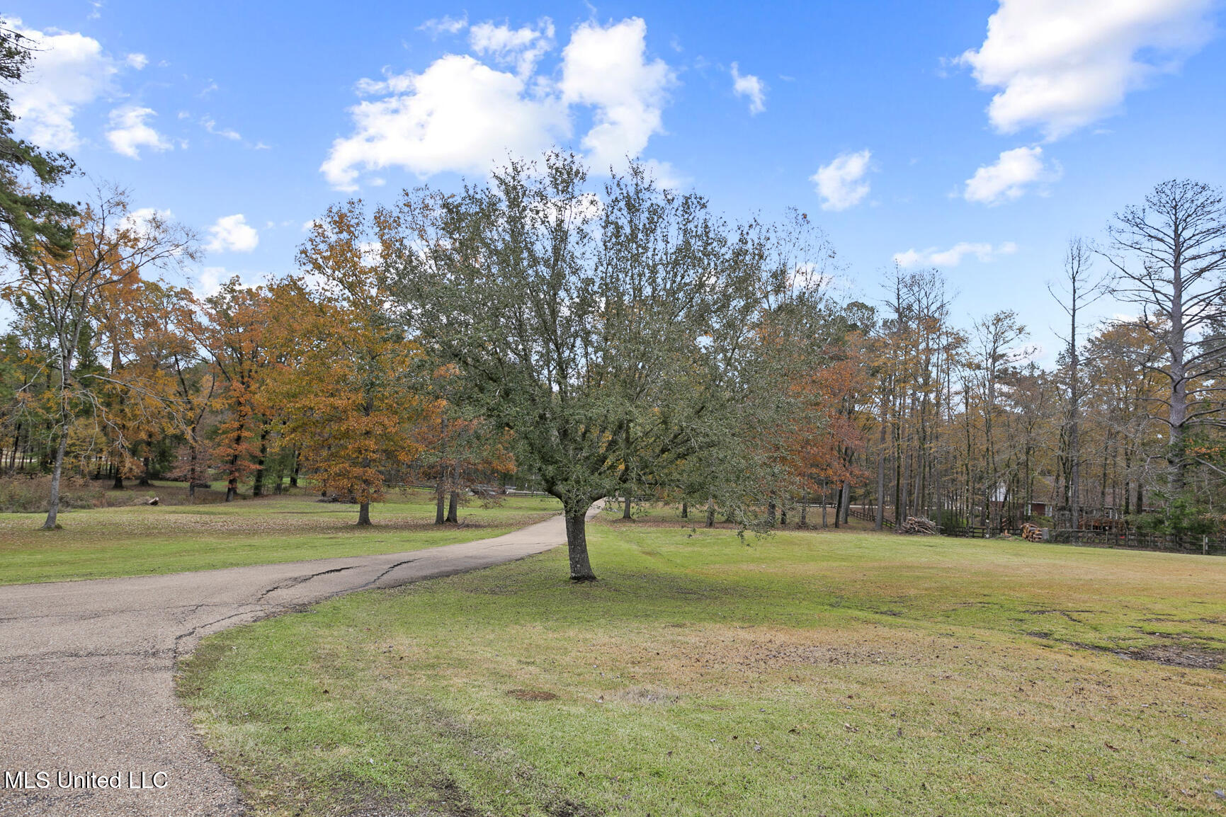 141 Clarkdell Road, Madison, Mississippi image 14