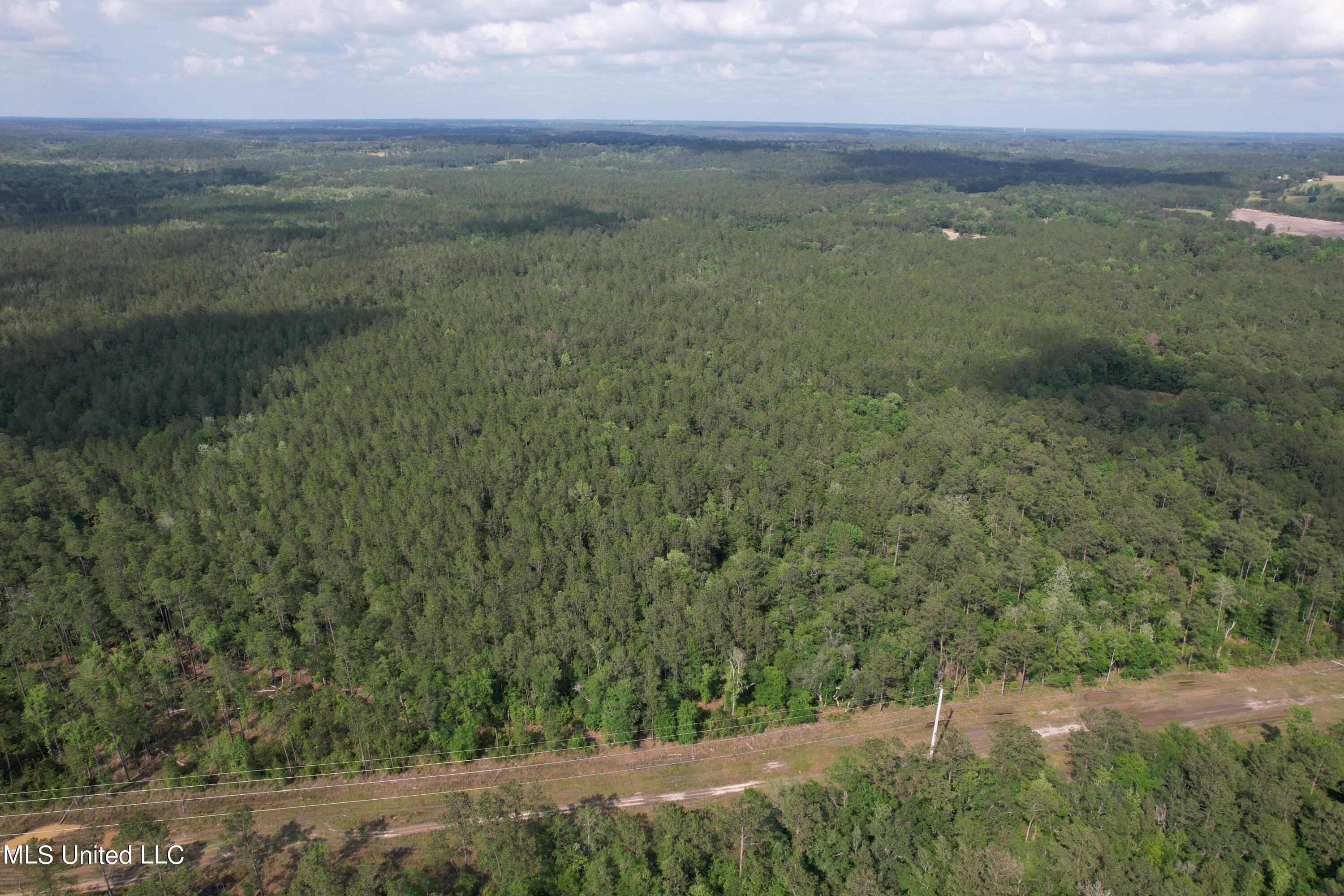 Off Plum Bluff Road, Lucedale, Mississippi image 4