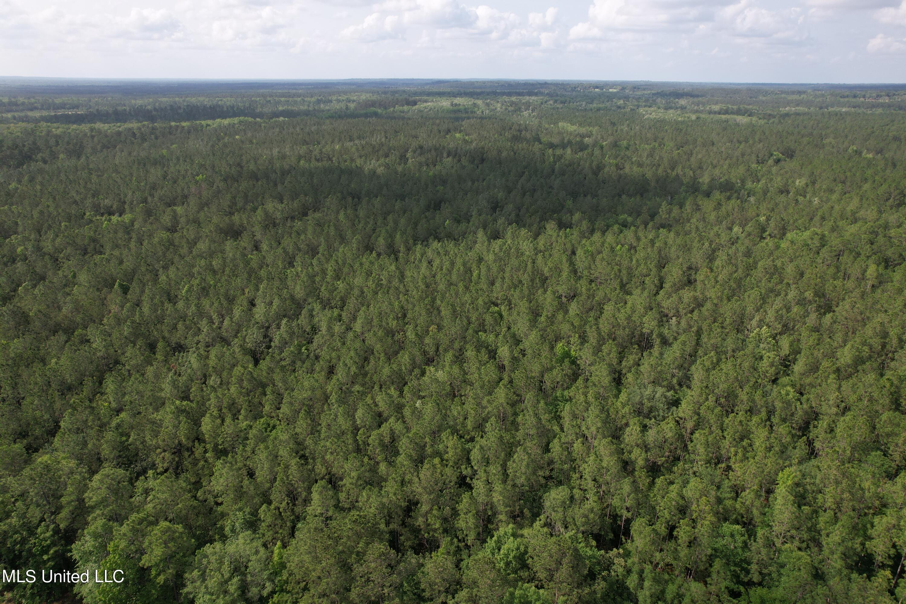 Off Plum Bluff Road, Lucedale, Mississippi image 5