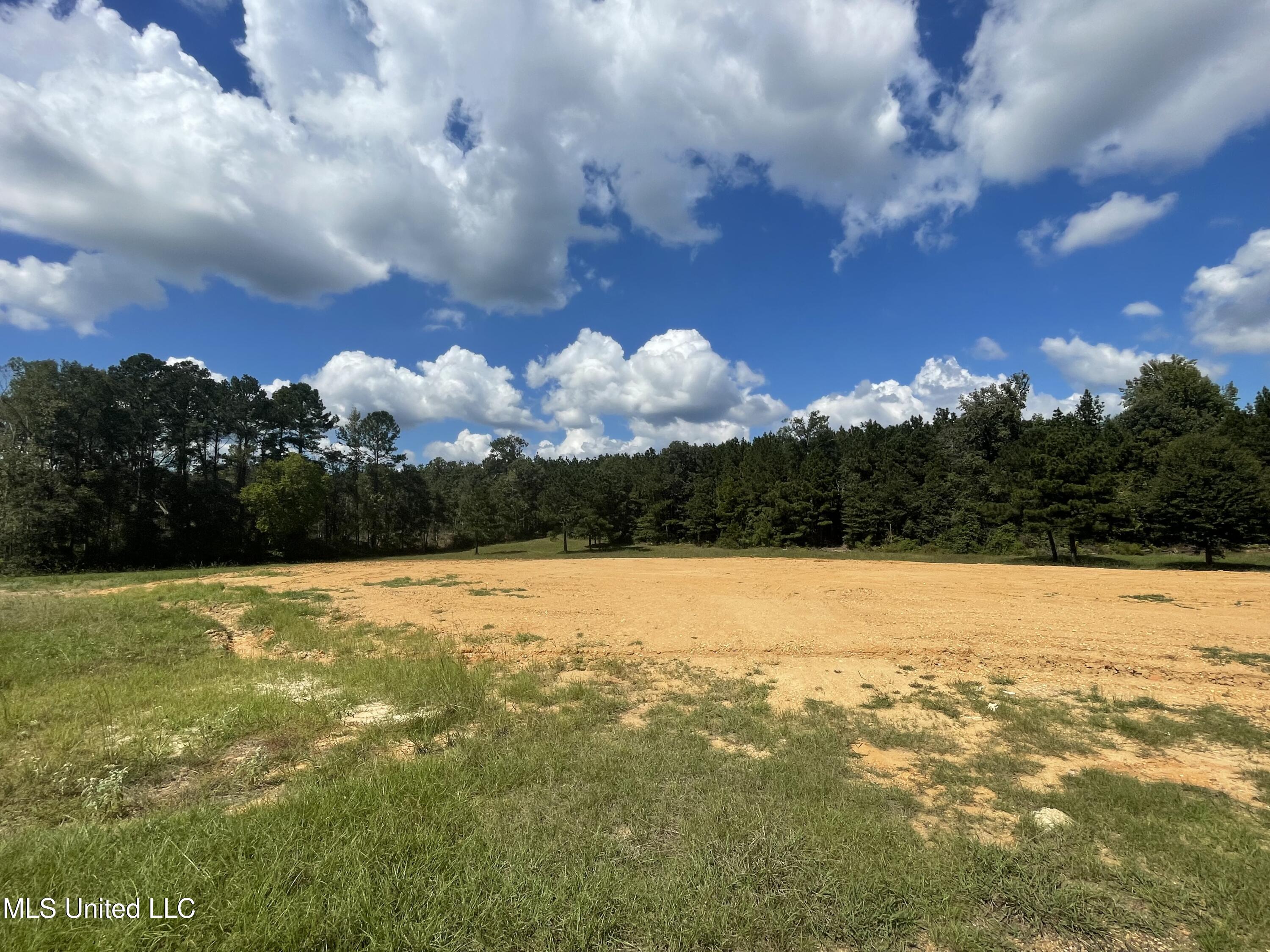 Cougar Trail, Brookhaven, Mississippi image 4