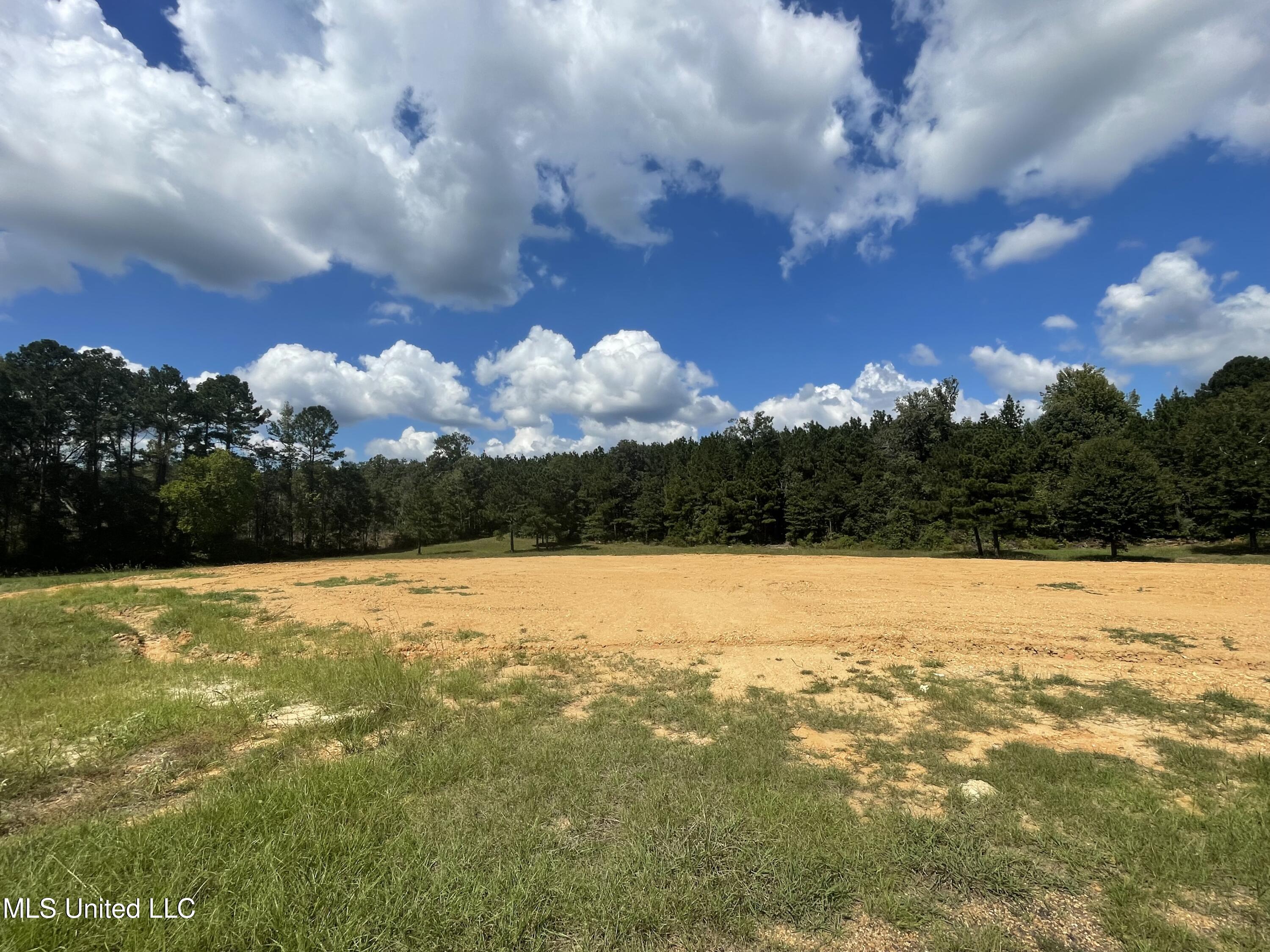 Cougar Trail, Brookhaven, Mississippi image 3