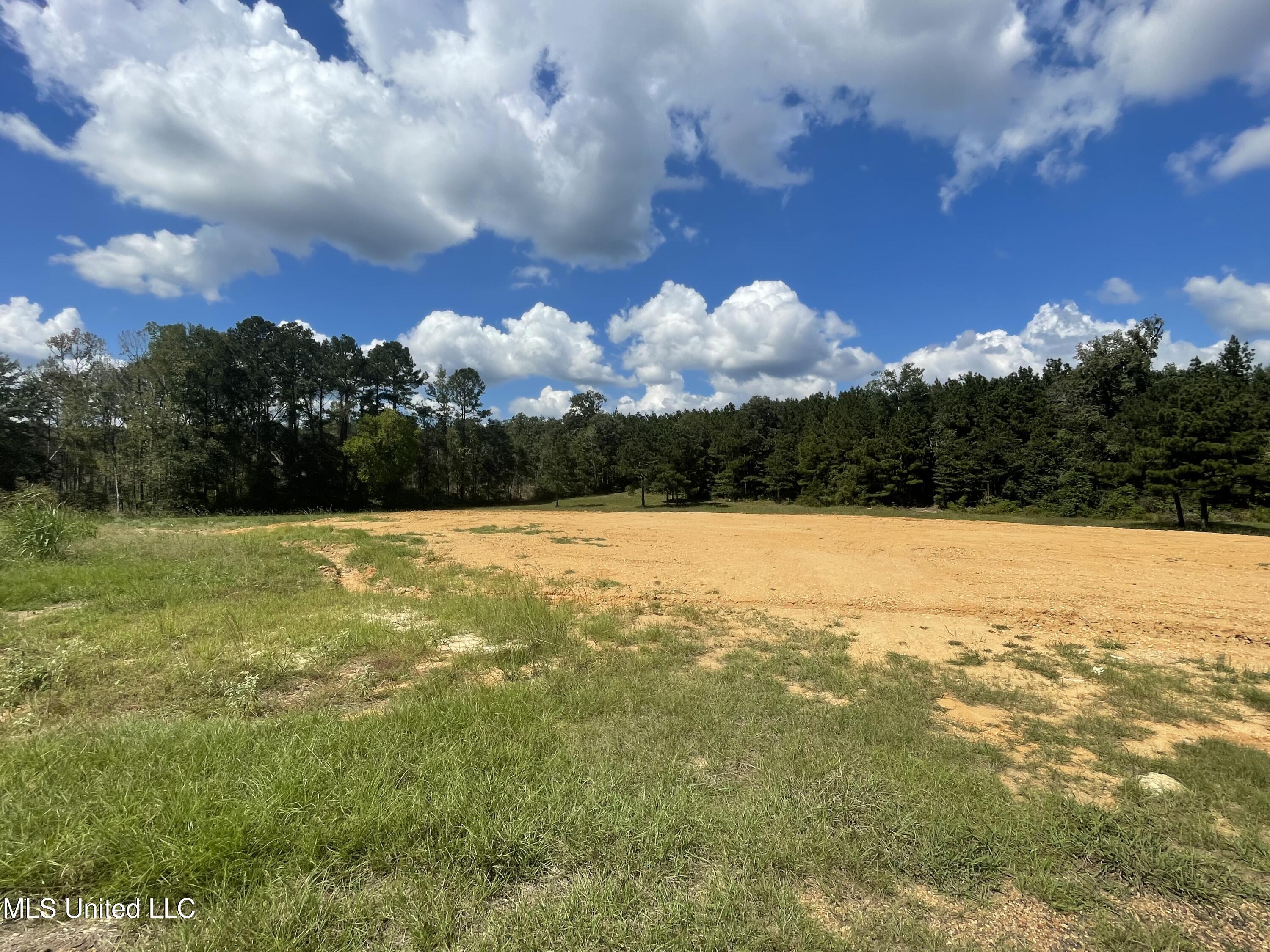 Cougar Trail, Brookhaven, Mississippi image 2