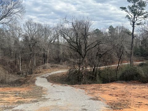 Vacant Land For Sale - 1761 Ms-7<br/> Marshall County, Holly Springs, MS 38635