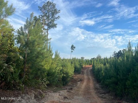 Vacant Land For Sale - Ms Hwy 540<br/> Braxton, MS 39044