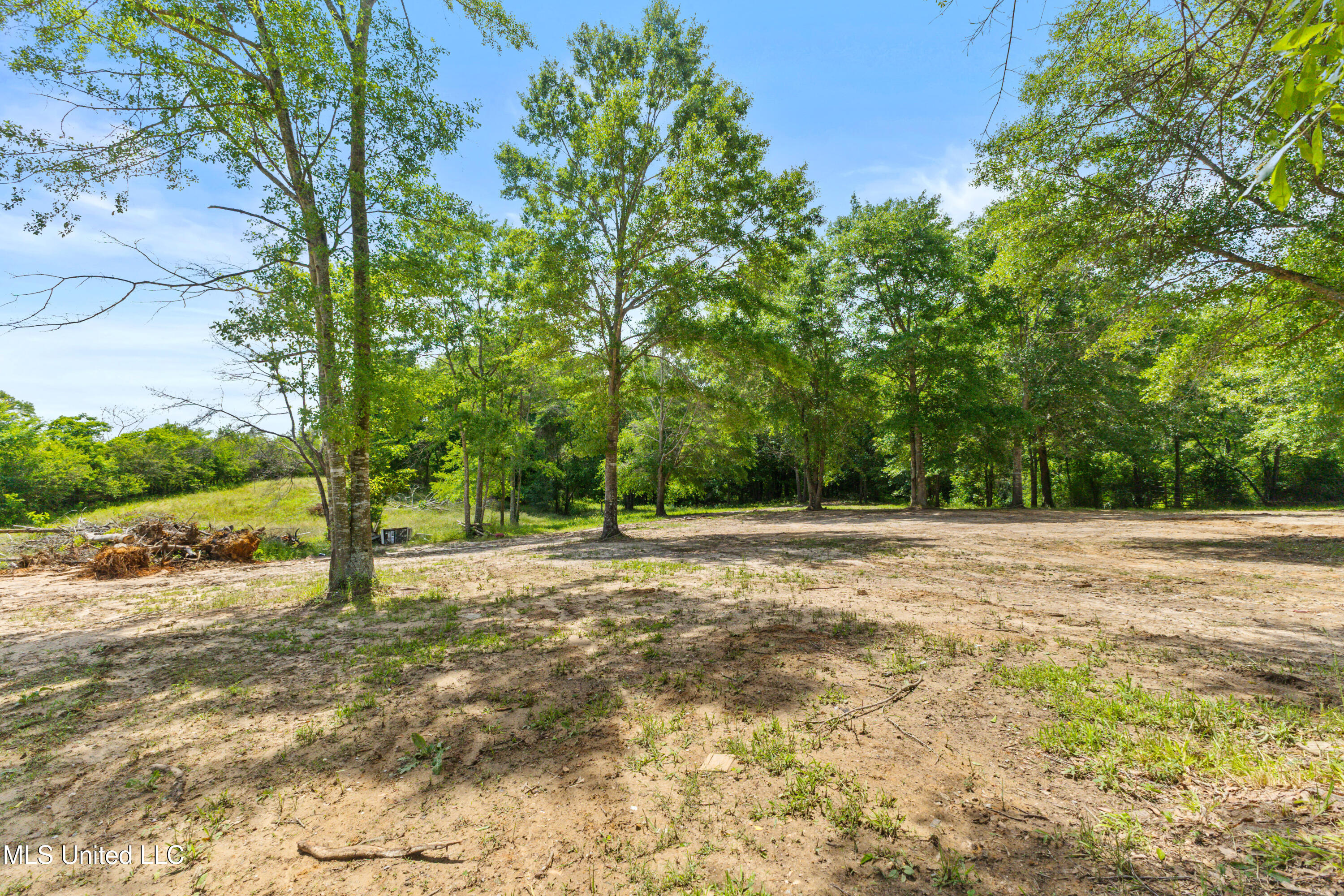 595 Delk Road, Moselle, Mississippi image 40