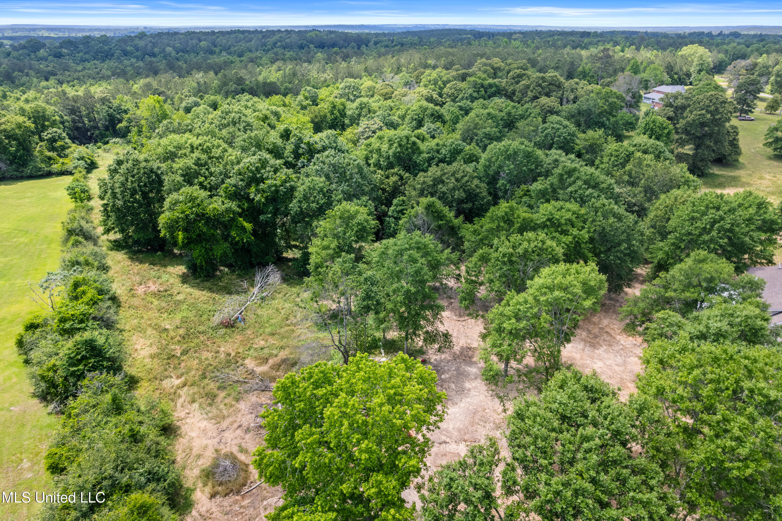 595 Delk Road, Moselle, Mississippi image 39