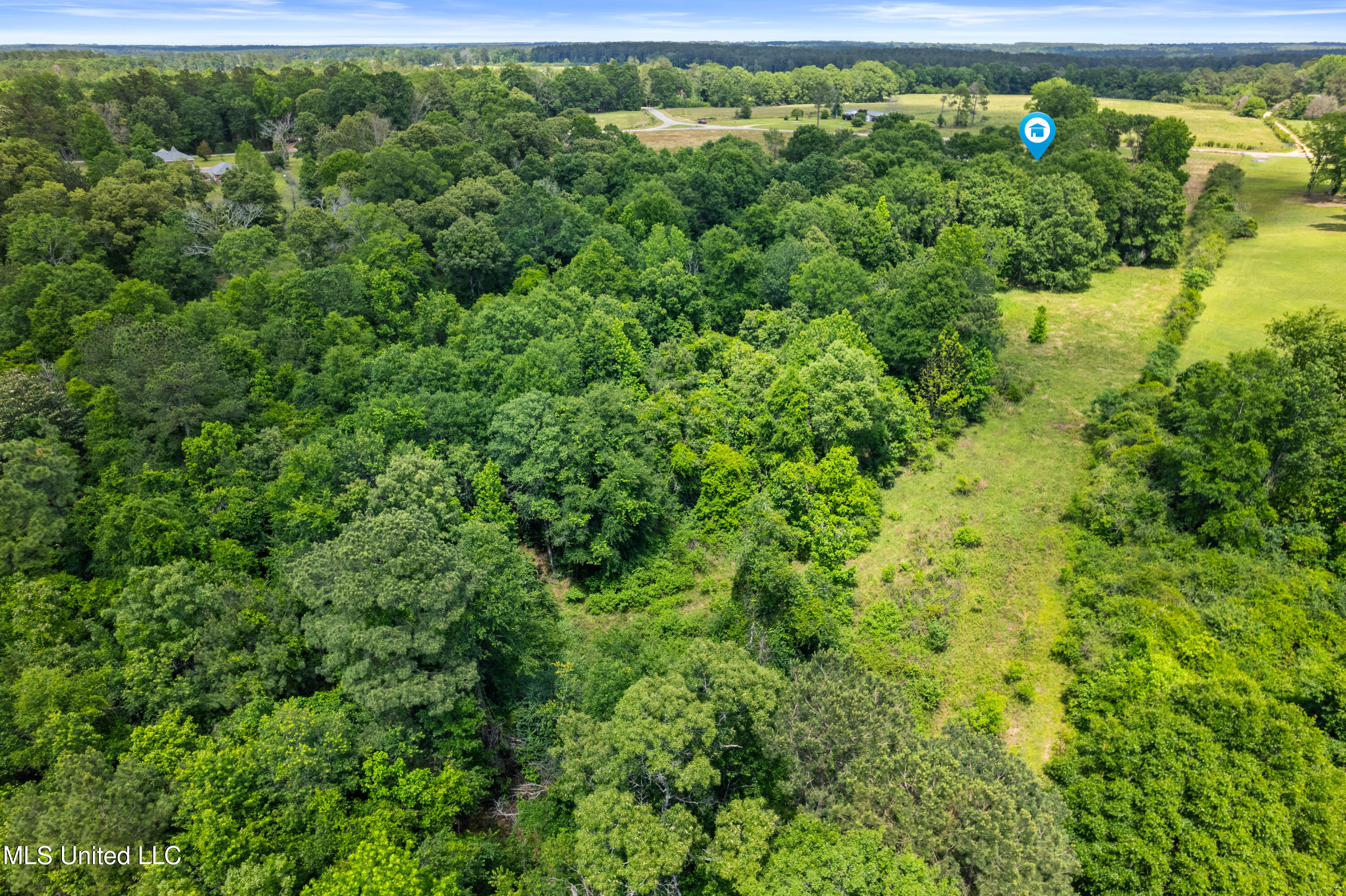 595 Delk Road, Moselle, Mississippi image 41