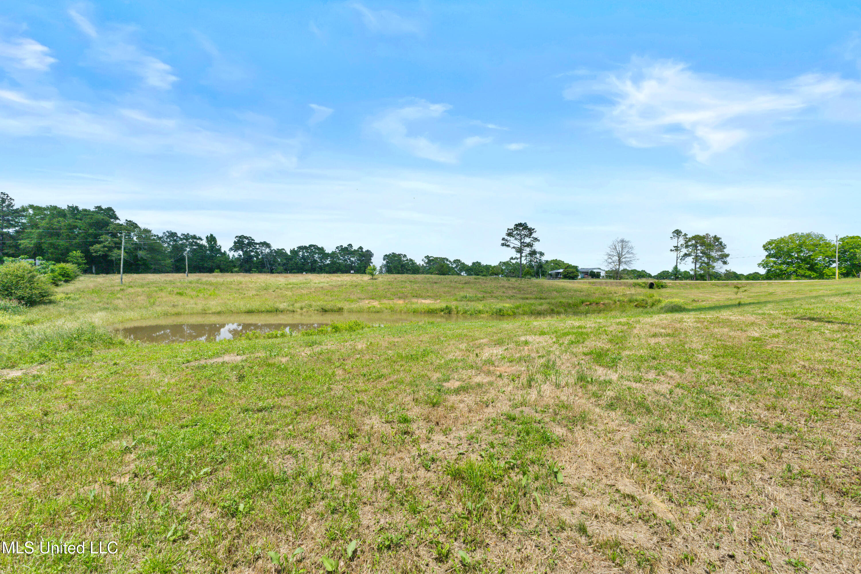 595 Delk Road, Moselle, Mississippi image 42