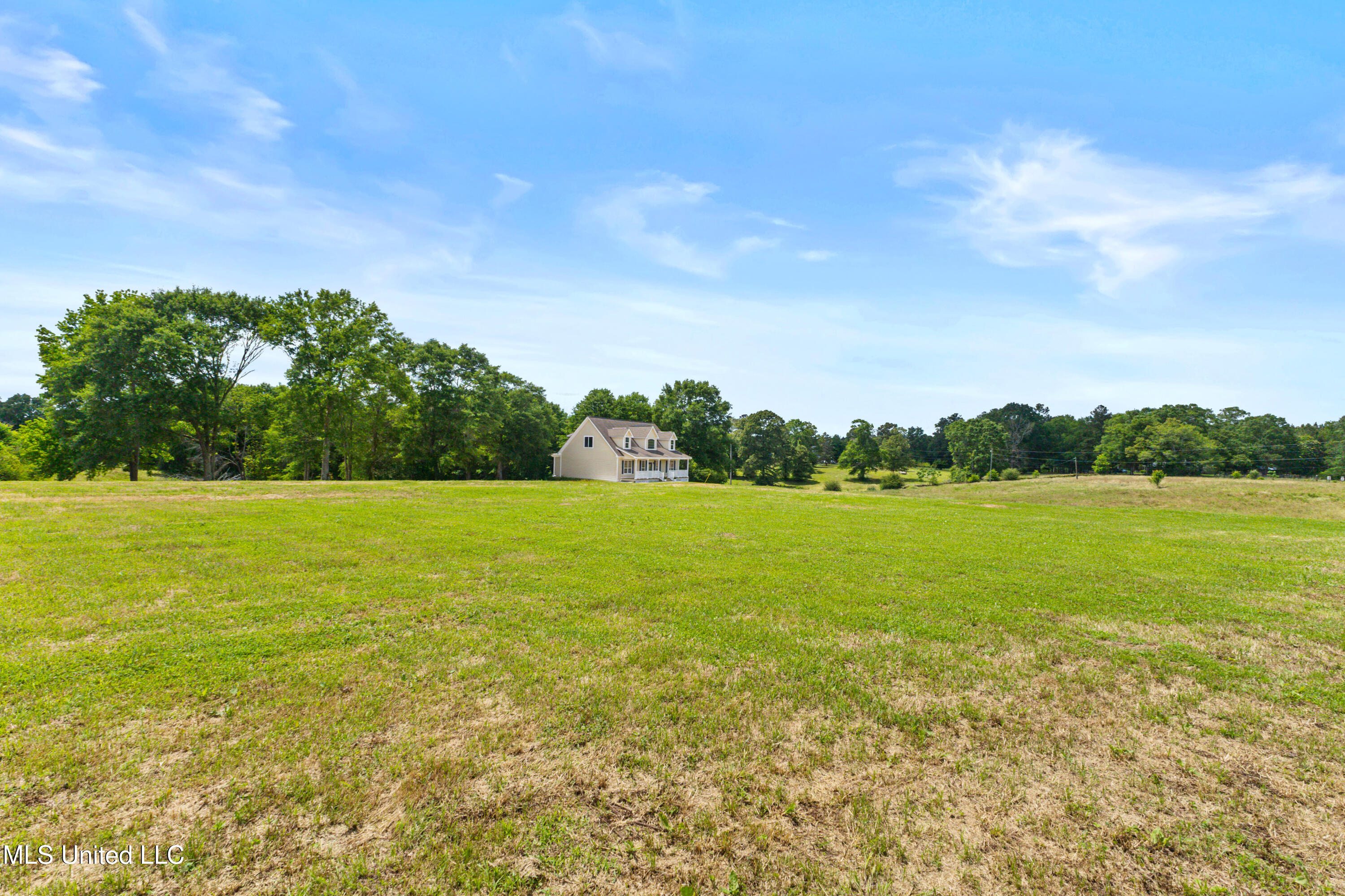 595 Delk Road, Moselle, Mississippi image 47