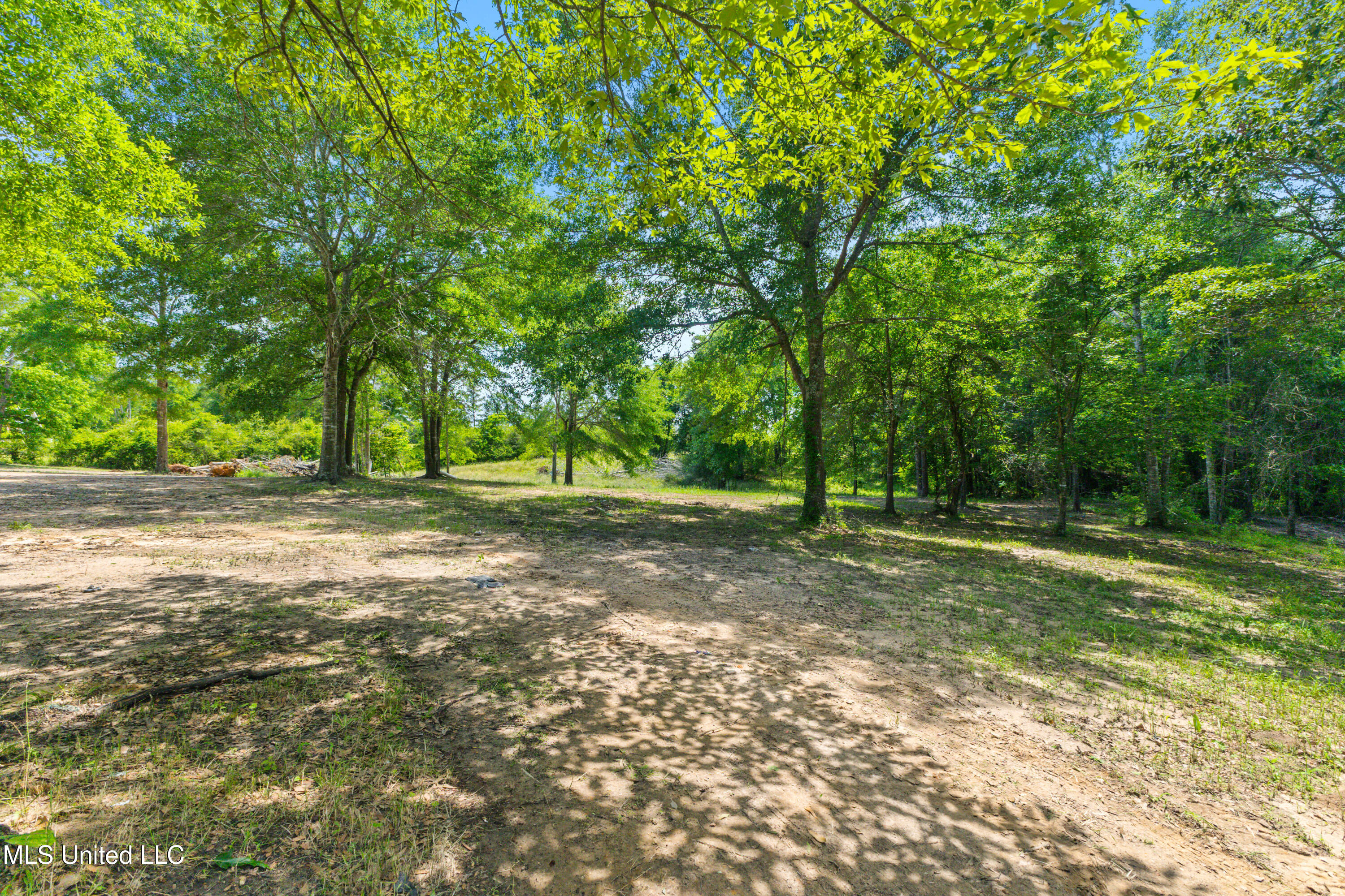 595 Delk Road, Moselle, Mississippi image 38