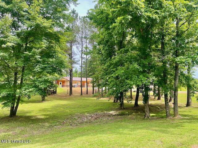 759 Oakview Drive, Como, Mississippi image 18