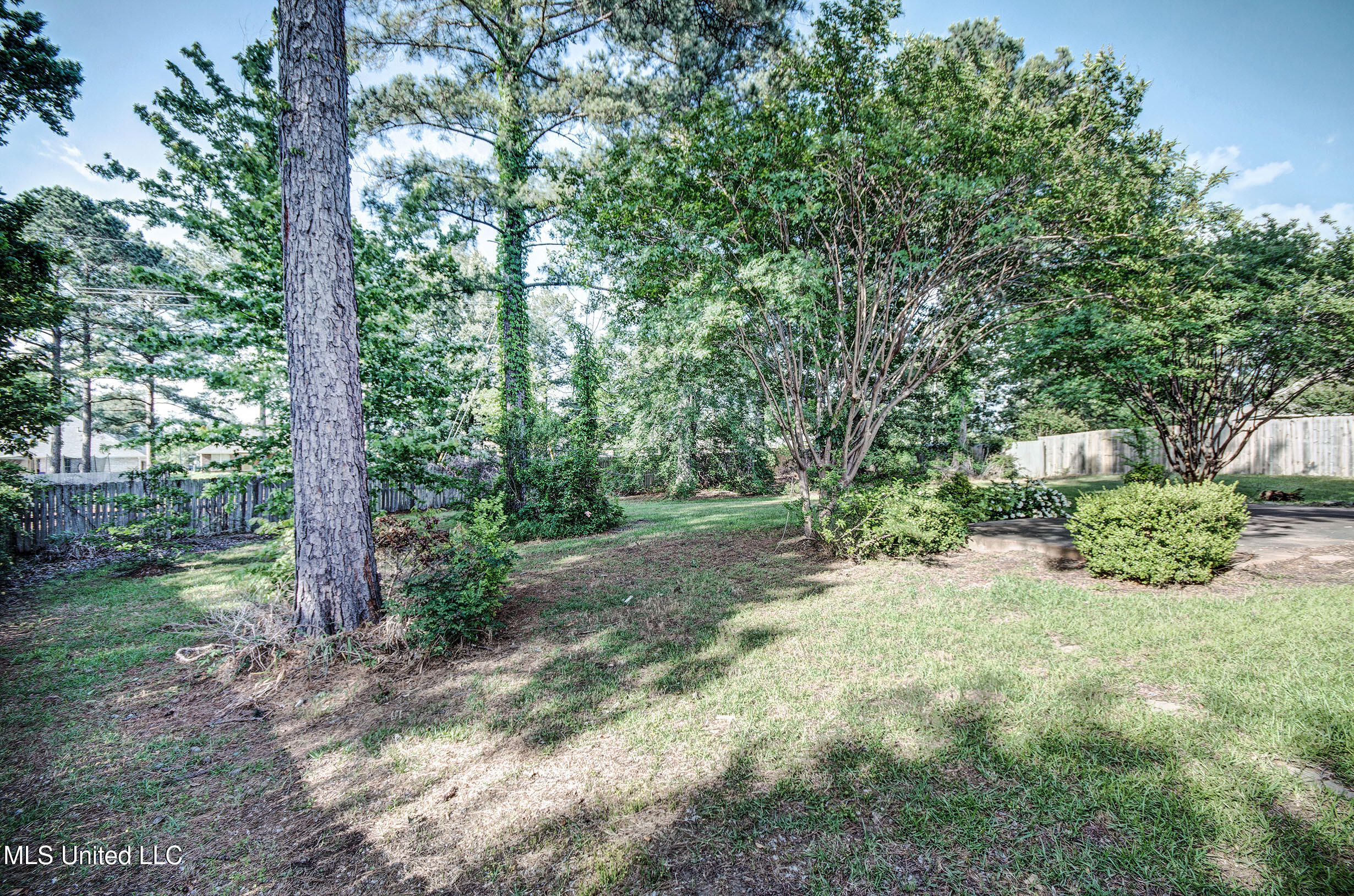 508 Jasmine Court, Brandon, Mississippi image 7