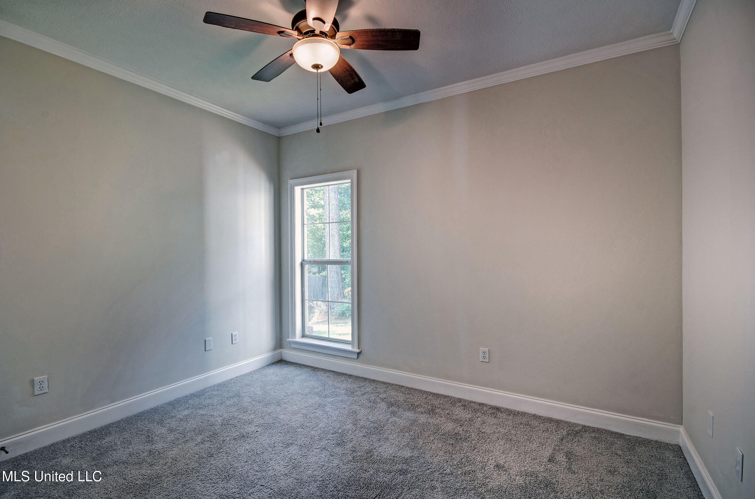 508 Jasmine Court, Brandon, Mississippi image 29
