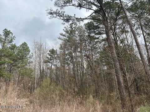 Vacant Land For Sale - Us-61<br/> Wilkinson County, Woodville, MS 39669