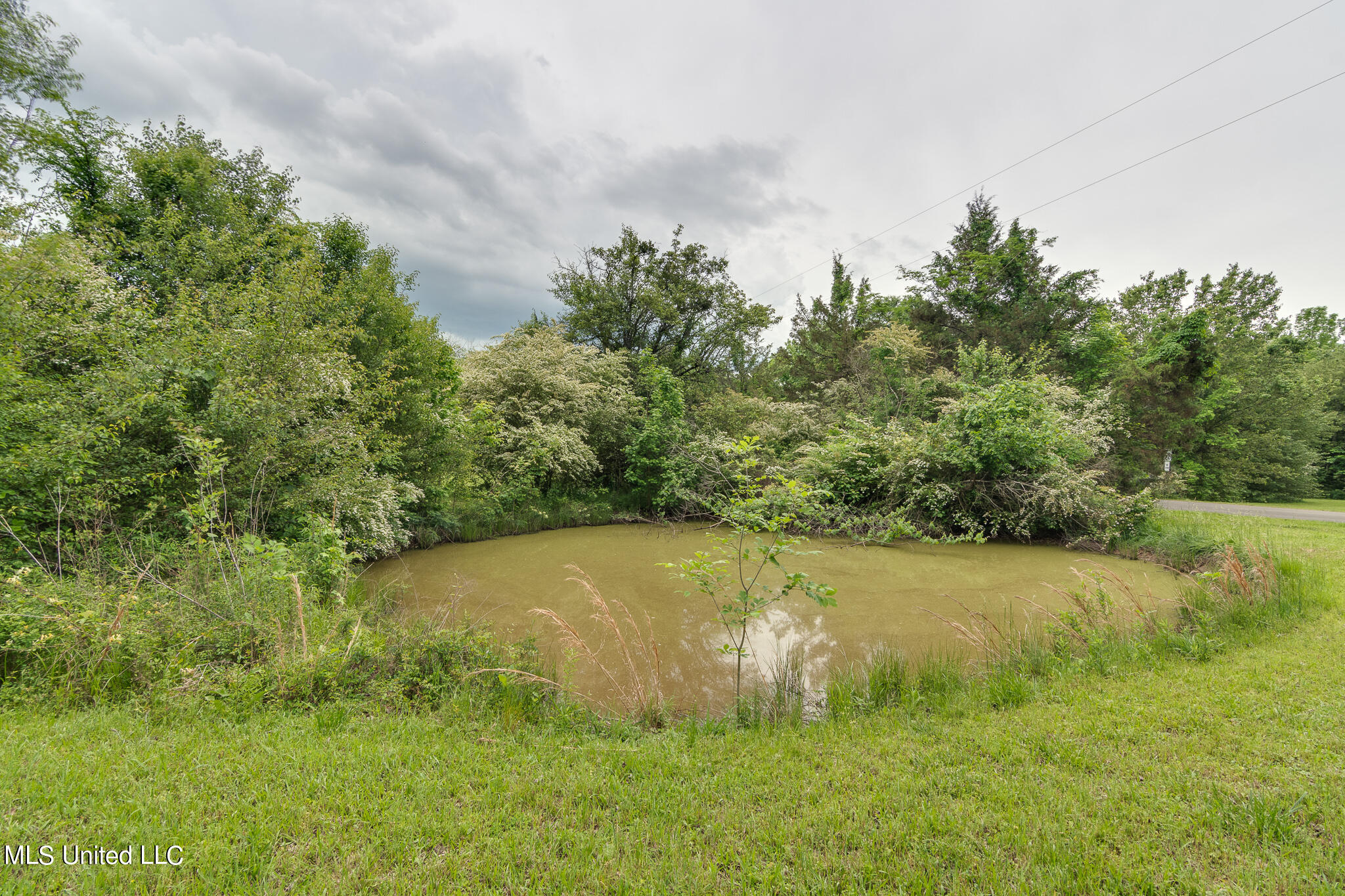 268 Mary Lane, Red Banks, Mississippi image 44