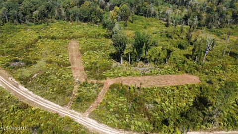 Vacant Land For Sale - 5 Highway 35<br/> Walnut Grove, MS 39189