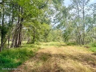 Vacant Land For Sale - 30 Mississippi 310<br/> Como, MS 38619
