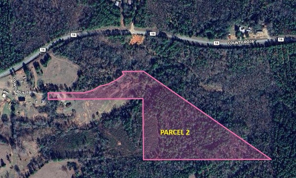 2 COUNTY RD 16, LOUIN, MS 39338 - Image cf4df5f05bf76f7e9c2f6597f418fb0d/3030200332