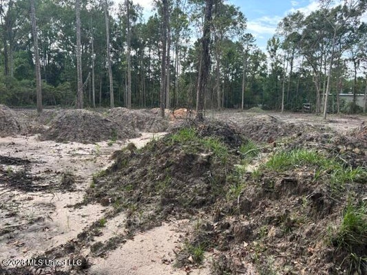 MARTIN BLUFF RD, GAUTIER, MS 39553 - Image cf6fef09fcf0115fdd7bee97fd5bc4ec/1755723446